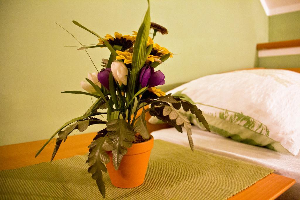 Guesthouse Jug Blato Dış mekan fotoğraf