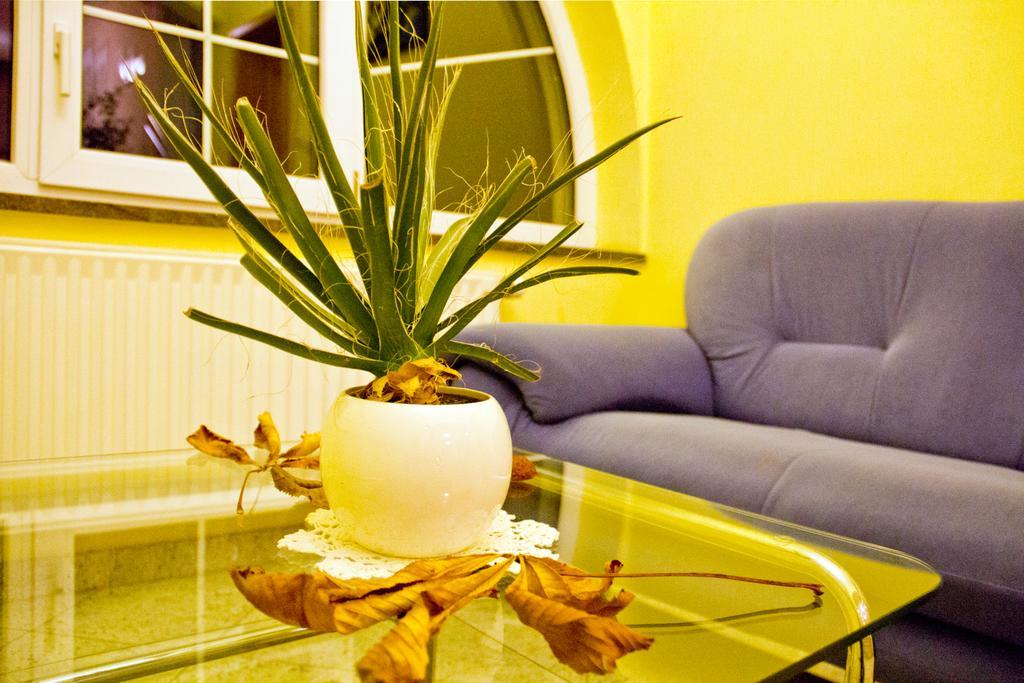 Guesthouse Jug Blato Dış mekan fotoğraf
